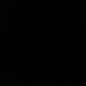 Meet your Posher, Dwayne